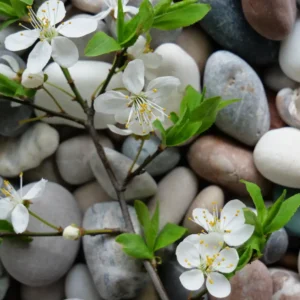 2025 Alumni Retreat Pay in Full